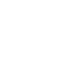 carriola-icono-blanco Como escoger una carriola D'bebe
